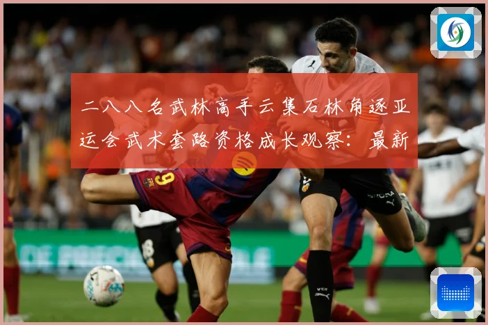 二八八名武林高手云集石林角逐亚运会武术套路资格成长观察：最新赛事动态与深度分析